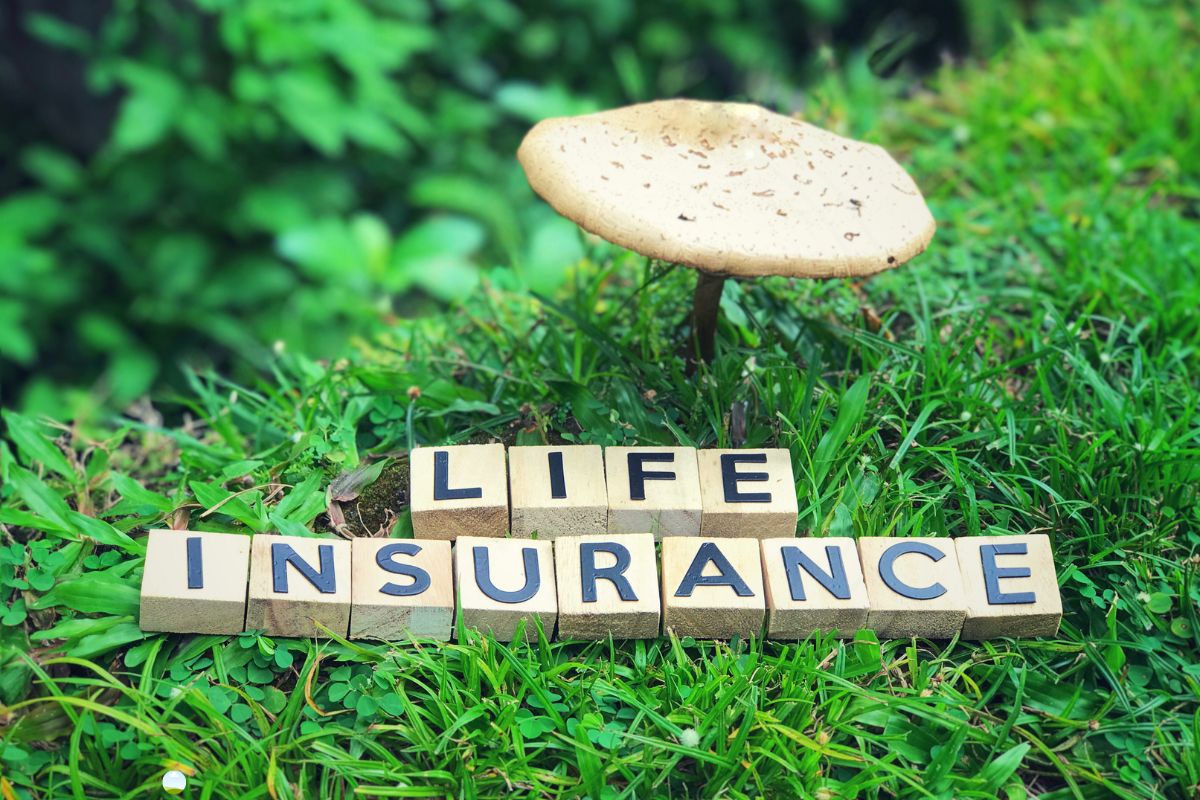 life insurance