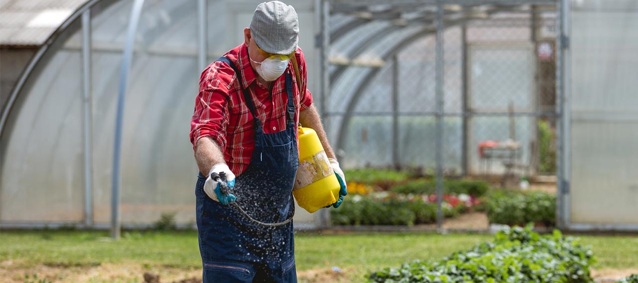 man spraying garden plants