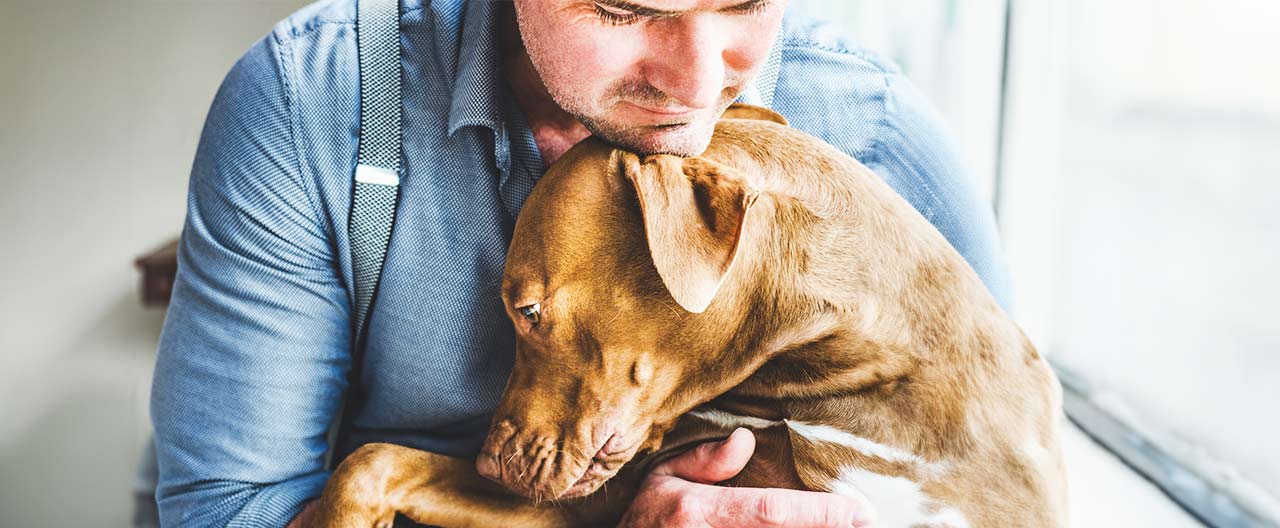 man hugs his dog