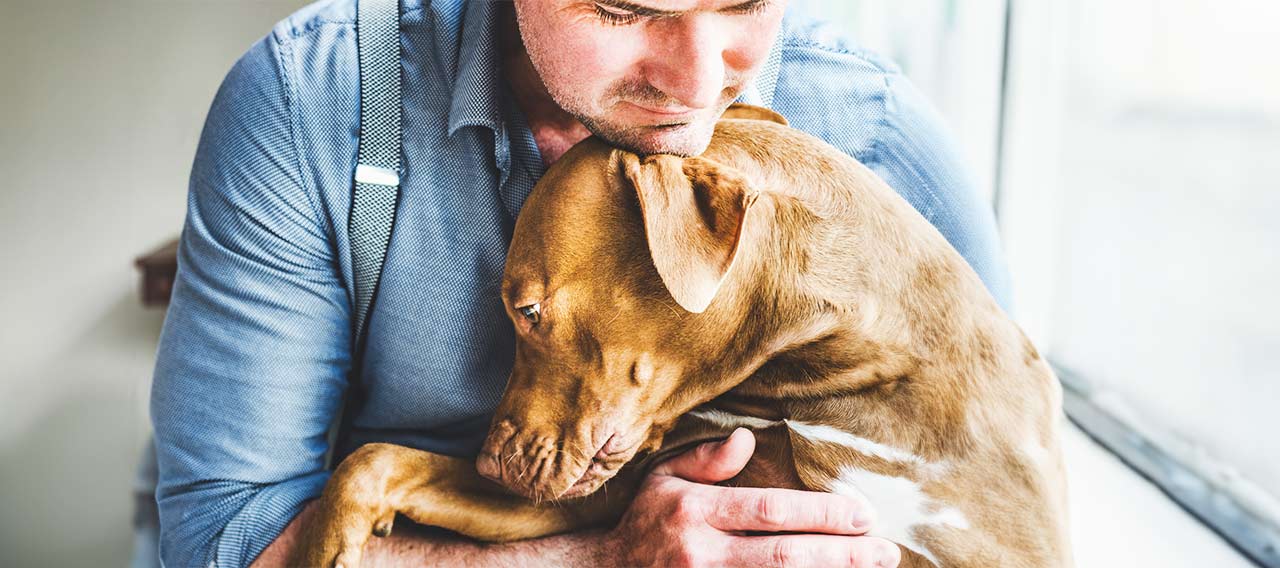 man hugs his dog