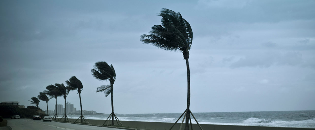 hurricane winds pound the shore