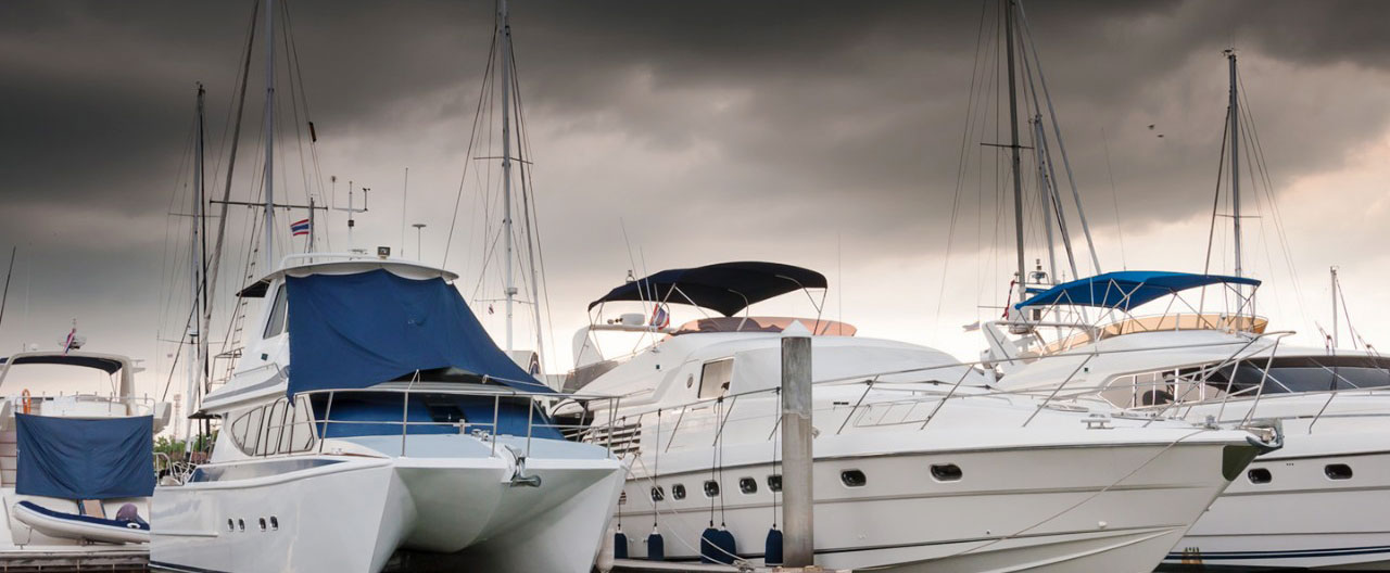 hurricane winds pound the shore